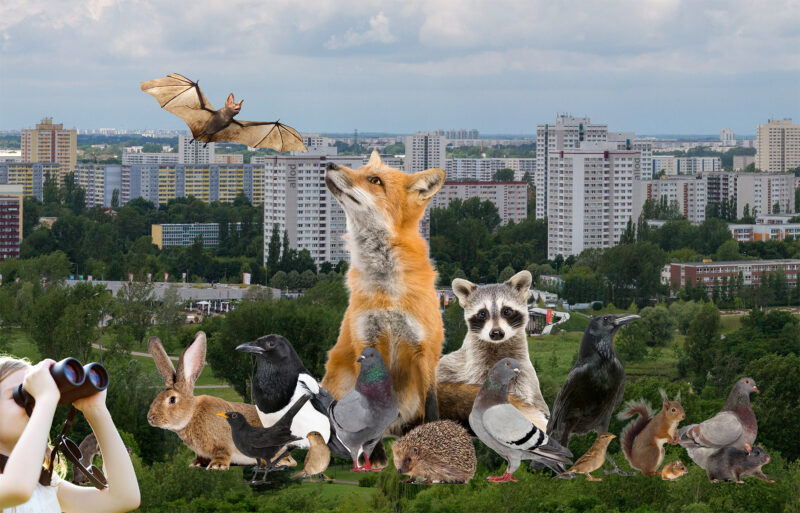 Stadtnaturführung – Großstadtsafari 18. April